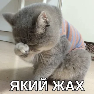🤭