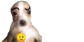 🤨