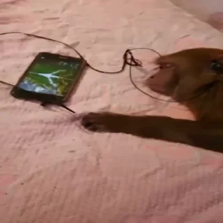 📱