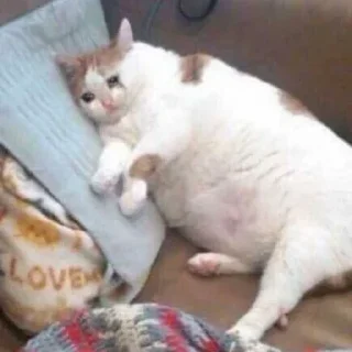 😭