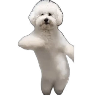 🕺