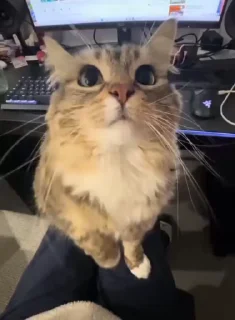 😚
