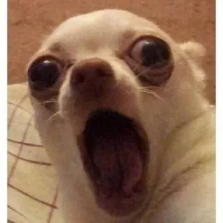 😱