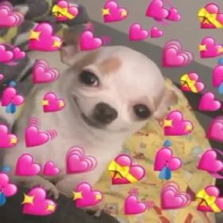 🐕