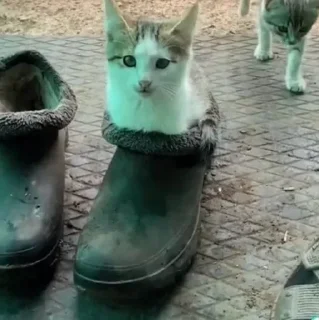 😐
