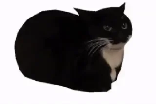😏