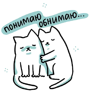 😿