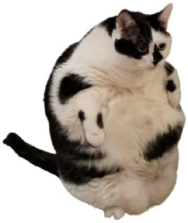 🍔