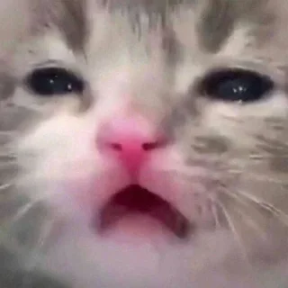 😣