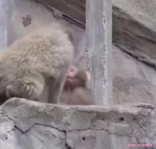 😱