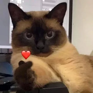 ❤️