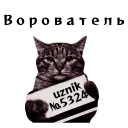 🐈