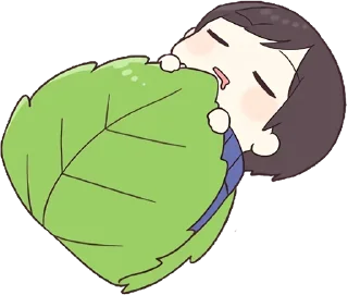 🛌
