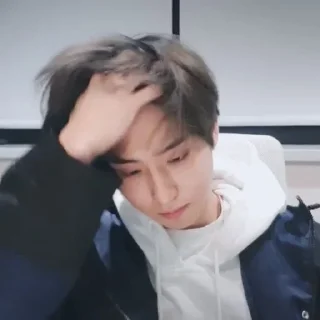 🐿️