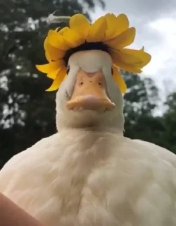 😐
