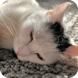 ☀