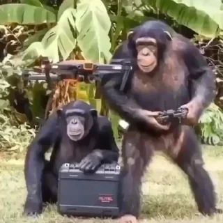 😳