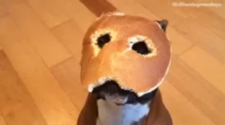 🥞