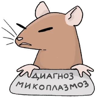 🐁