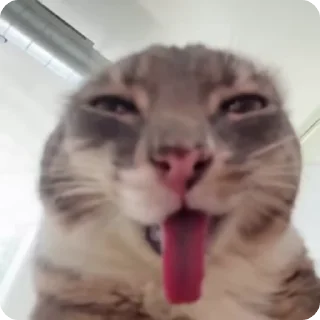 👅