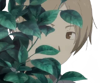 🌿