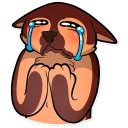 😭