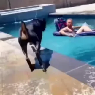 👊