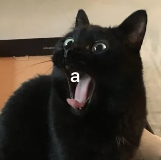 🅰