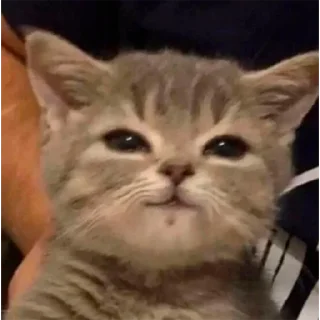 ☺️