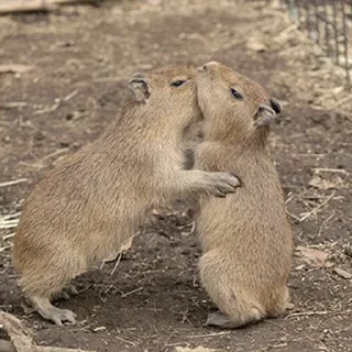 ❤️