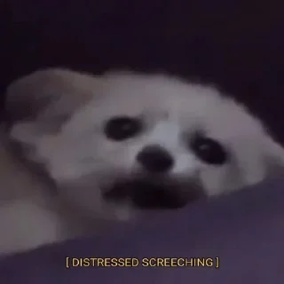 😱