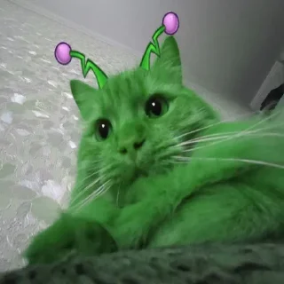 👽