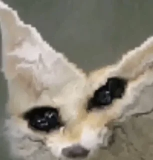 😭