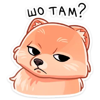 😠