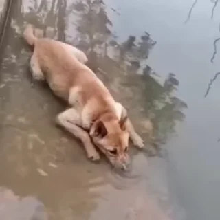 😔