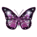 @Loveoops : butterfly