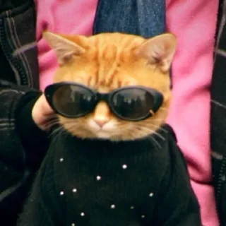 😎