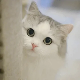 🙃