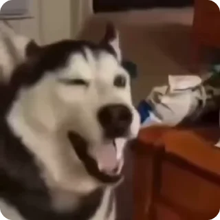 😉