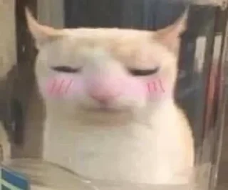 ☺️