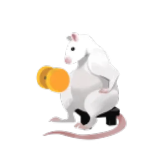 💪