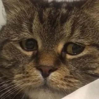 😔