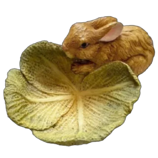 🐰