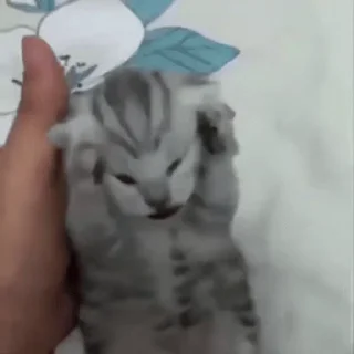 😒