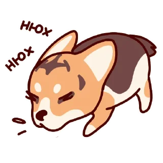 🍊