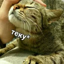 😍