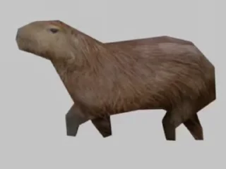 🦫