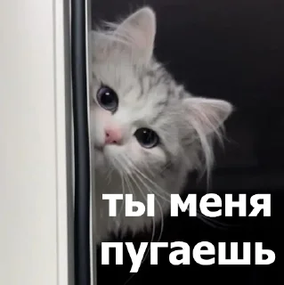 😨