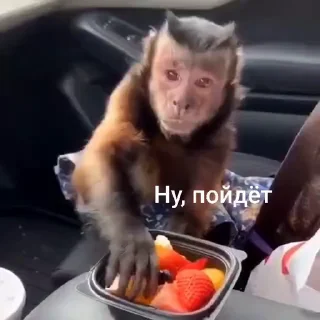 🤩