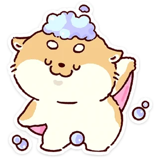 🌟